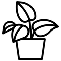 כדים ואדניות