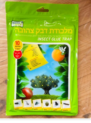 לוח דבק לחרקים דולומיט 10 יח 17X24