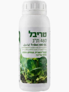 הדברה לעצים תמונה ראשית